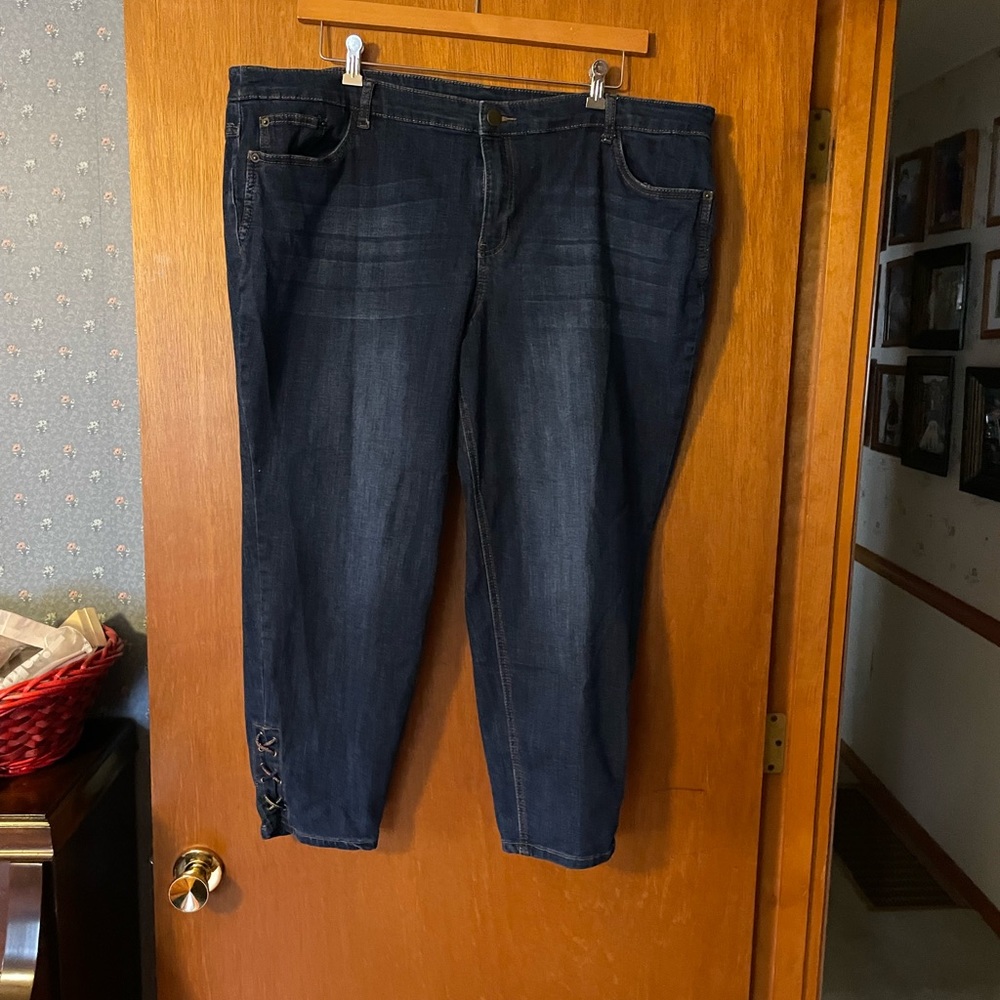 24W Petite CJ Banks Jeans